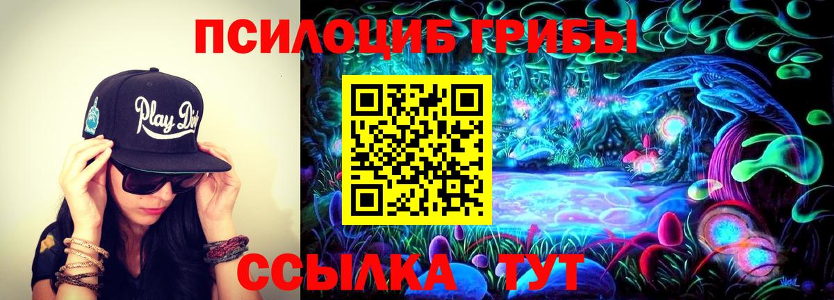 Ржев  Псилоцибиновые грибы Magic Shrooms  Вход с VPN 
